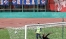 CAVESE MONTEVARCHI 3 A 0 (1).JPG