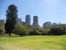 DSCN0735.JPG