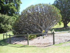 DSCN0739.JPG