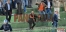LA GIOIA DEL PRESIDENTE DEL FOGGIA DOPO IL GOL A TEMPO SCADUTO 