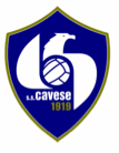 cavese logo.gif