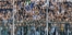 tifosi cavesi copy.jpg