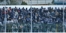tifosi in curva sud copy.jpg